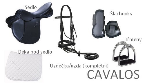 sada02